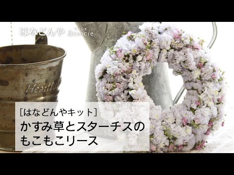 スターモス、千枚通しのマストワート 植物