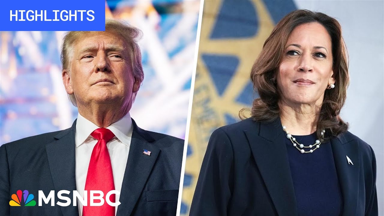 Countdown to the 2024 election: Day 15 | MSNBC Highlights