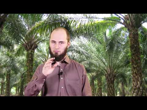 "Tri porosi të Shuajbit alejhis-selam" - Esat Rexhepi