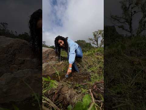 Finca / Predio de 12.000 m² en Choachí Cundinamarca | Hermoso Chorro de Agua y Terreno Plano