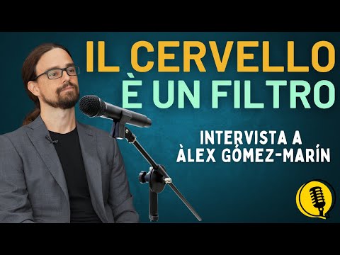 The Brain and Consciousness: An Interview with Neuroscientist Álex Gómez-Marín