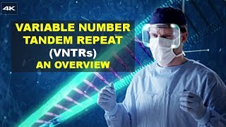 VNTR - Variable Number of Tandem Repeats (Better Explained)