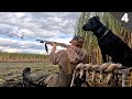 They DRAINED My FAVORITE MARSH | Duck Hunting In A Mud Puddle