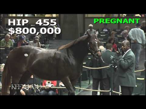 2015 November Breeding Stock Sale: Hip 455 - TERRIFIC (IRE)