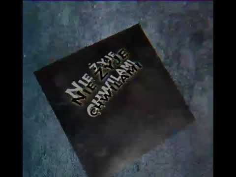 Zombi - nie żyje chwilami