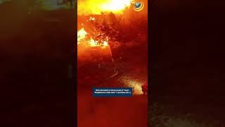 Թուրքիայի արևմուտքում բռնկված հրդեհների հետևանքով տարհանվել է ավելի քան 2000 մարդ