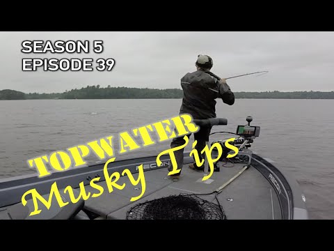 Topwater Musky Tips - Summer Topwater Basics! S5.E39