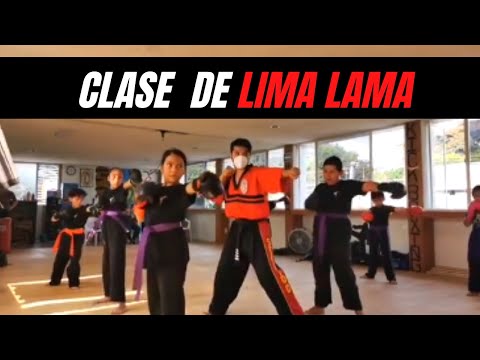 CLASE PARA NIÑOS /Lima Lama /Kick boxing/ Defensa personal