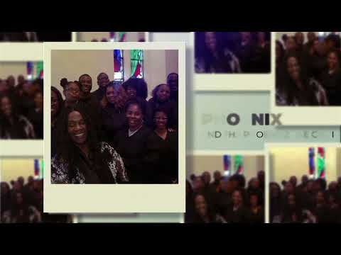 Promotional video thumbnail 4 for Phoenix