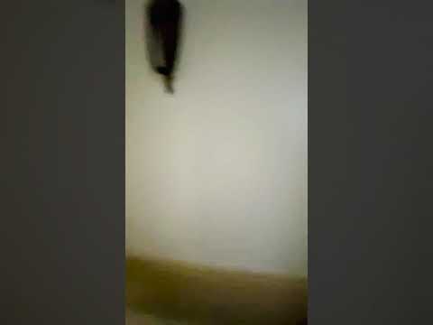 2609 Park Avenue - Video 2 of 2