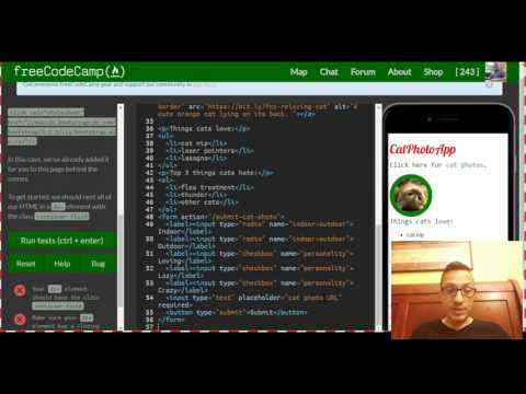 Use Responsive Design with Bootstrap Fluid Containers, freeCodeCamp Bootstrap review, lesson 1
