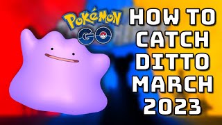 How to CATCH Ditto in March 2023 all Ditto disguises Pokémon Go how to catch Ditto Season of Legends