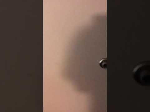 Room Tour at the AmericInn hotel in the Wisconsin Dells (Room #222)