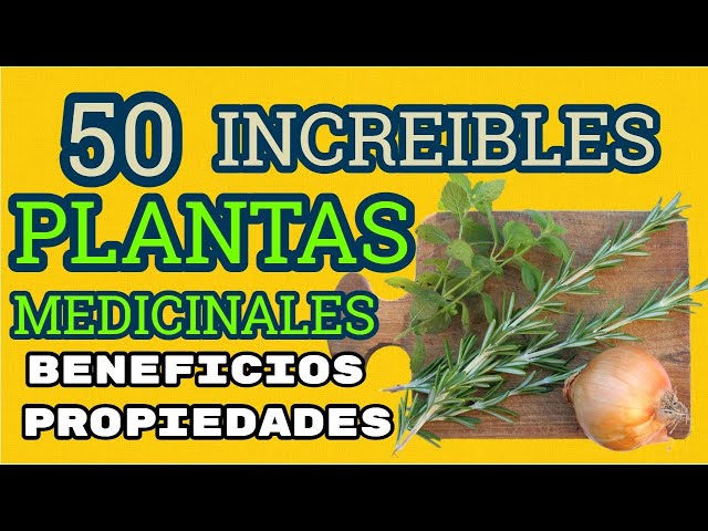 Vídeo relacionado con Hierbas curativas de la montaña- Set de regalo de semillas con 6 tradicionales plantas medicinales