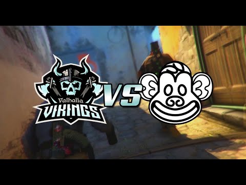 VHV: How They Defeated Sweden's Most Feared Team