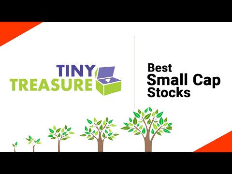 Tiny treasures investment service