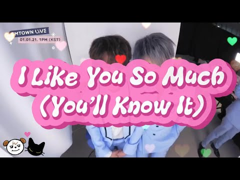 Super Junior Kyuhyun x Yesung (KyuSung) FMV: I Like You So Much (You'll Know It)