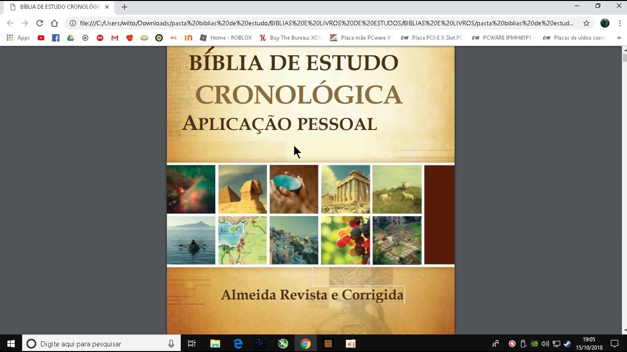 Bíblia de Estudo em Ordem Cronológica Aplicação Pessoal em PDF