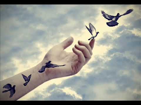 Vođena meditacija otpuštanja - Ana Bučević