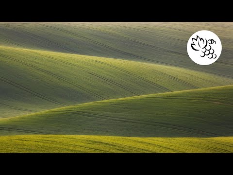 Pastos Verdejantes video