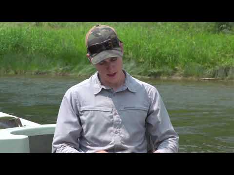 Quickly Turn a Floating Line Into A Sink TIp