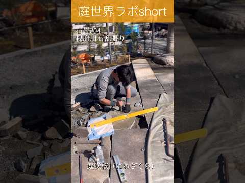 いくつかのレベルでの庭園デザイン – 18 の素晴らしいアイデア  庭園