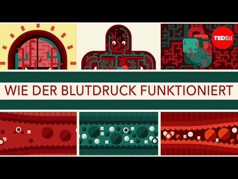 Wie der Blutdruck funktioniert - Wilfred Manzano