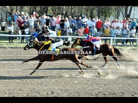 JUNA - Rep. P. P. H. Rincón del Aguará y H. Los Monteros , C. Cuatiá, Ctes. 30.07.17