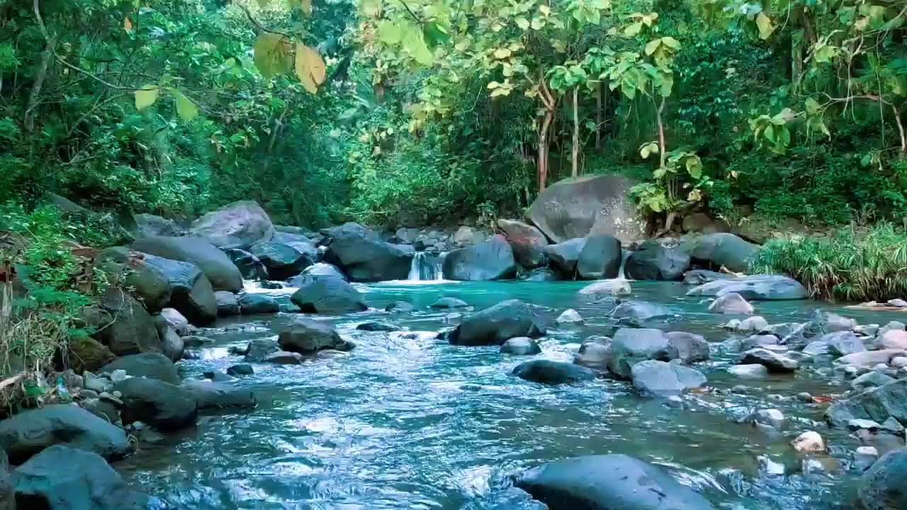 Gentle Stream Sounds | Perfect for Relaxation & Meditation