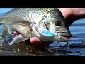 Rapala Shadow Rap Fat Jack