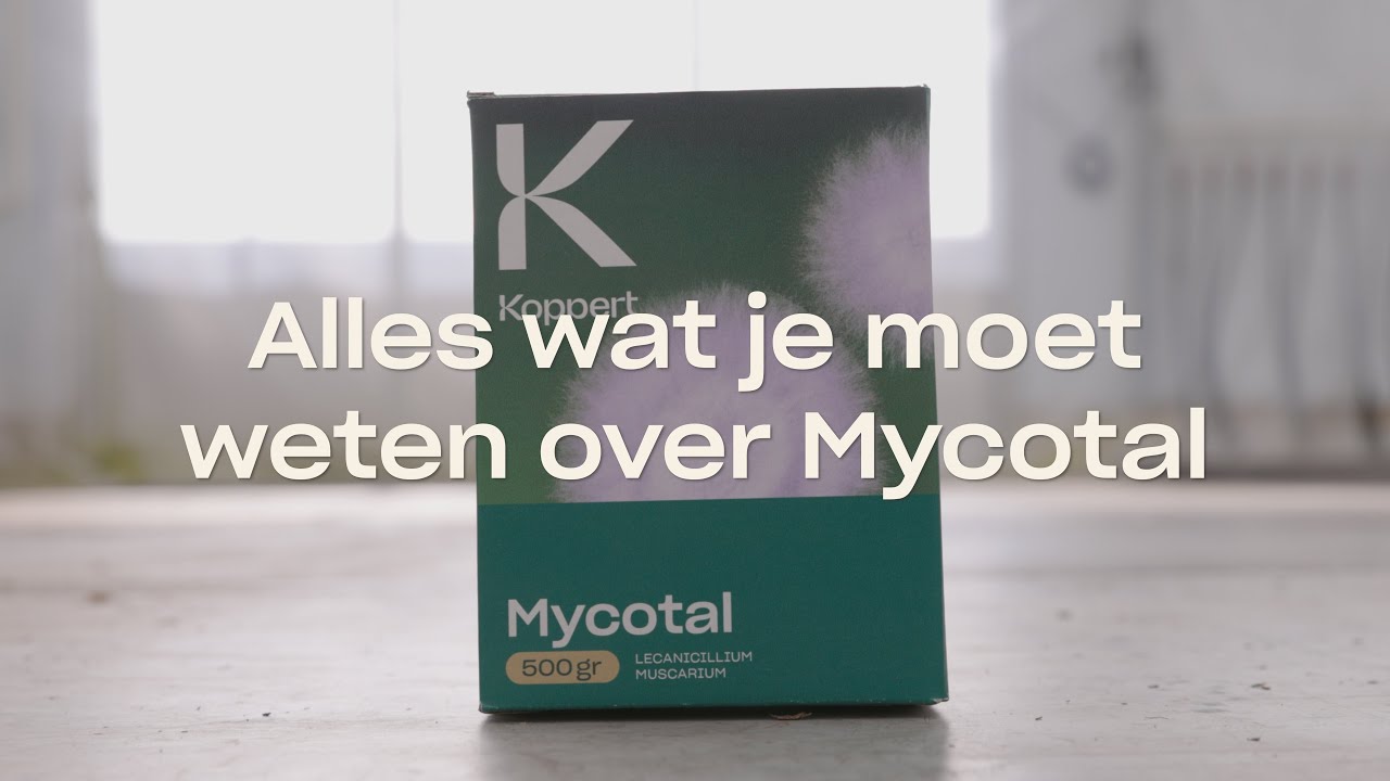 Video preview poster