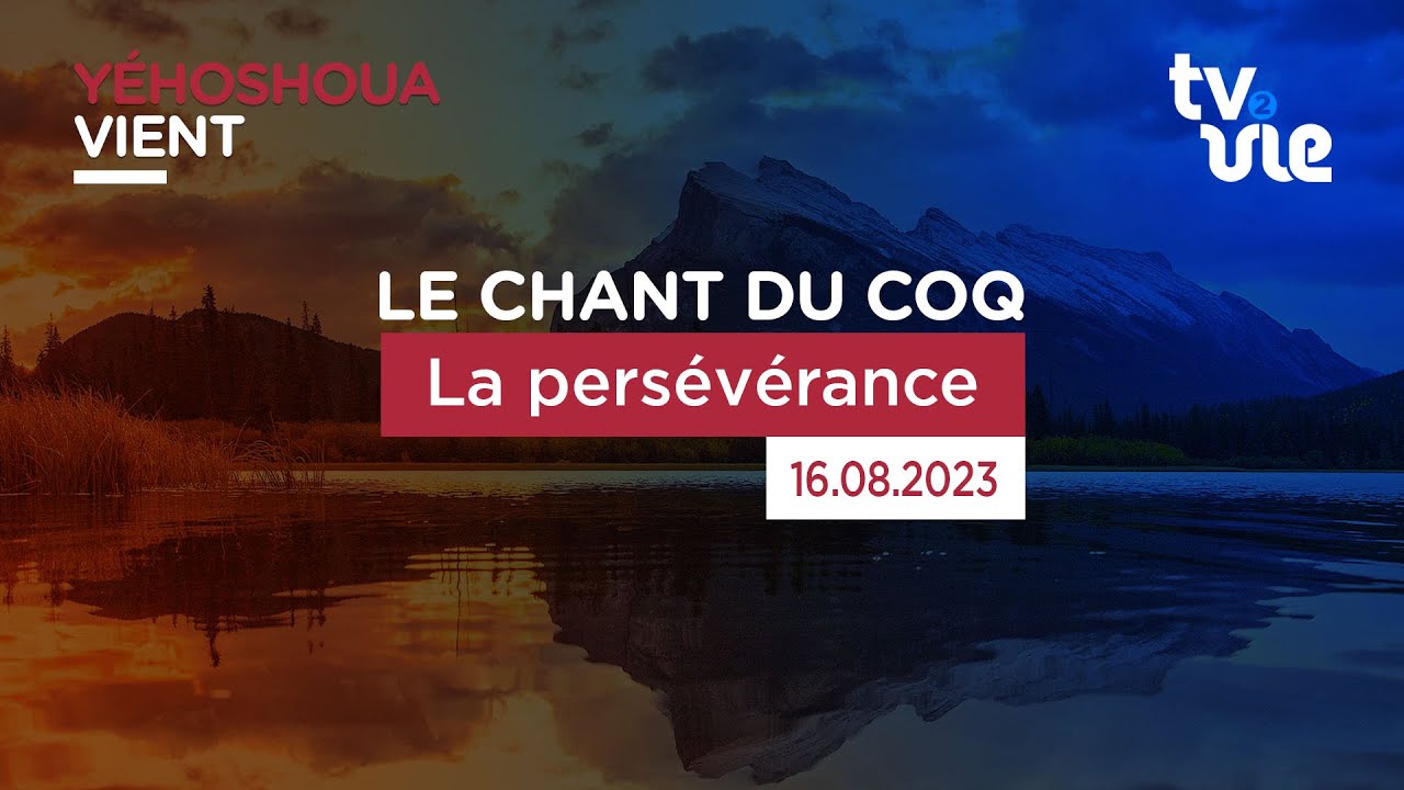 Thumbnail of video: La persévérance