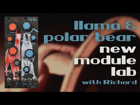 Pittsburgh Modular Safari Series 3 Polar Bear image 2