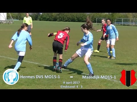 Samenvatting Hermes DVS MO15-1 -  Maasdijk MO15-1