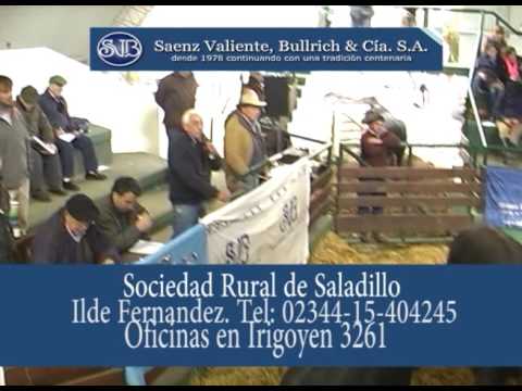 SAENZ VALIENTE BULRICH REMATE  EN LA 53ª  EXPOSICION RURAL DE SALADILLO