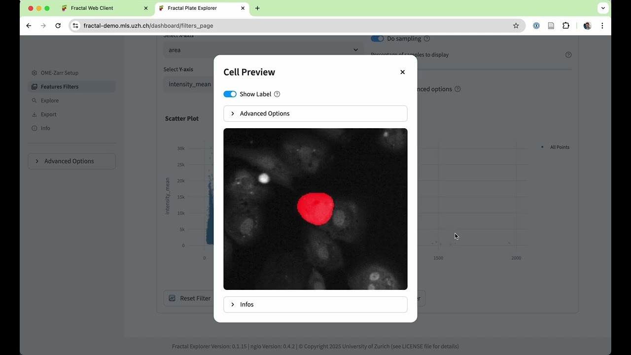 Fractal feature explorer