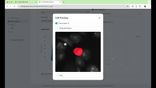Fractal feature explorer