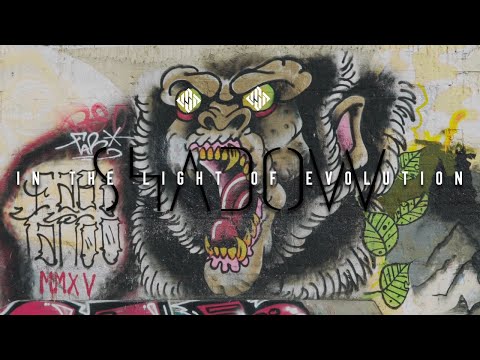 Eugen Enin testing the USD Shadow 57