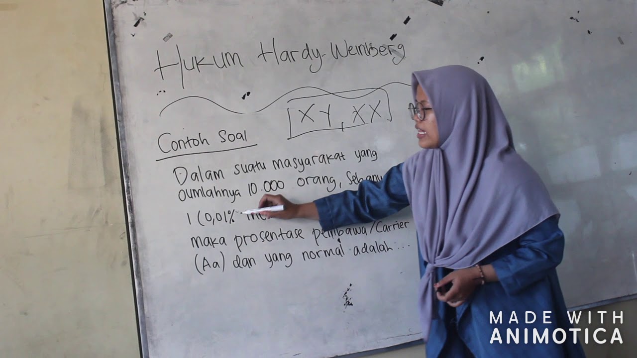 APA ITU HUKUM HARDY-WEINBERG