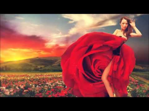 C.Jay & Yoram - The Holstee Manifesto (Beat Syndrome Remix)