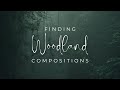 Woodland Photography Compositions, What I look for in the Woodland