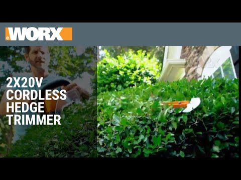 40V Power Share Hedge Trimmer (2x20V) | Product Preview