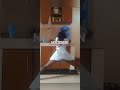 Kenyan Upskirt Minidress Twerking Panty Upskirts