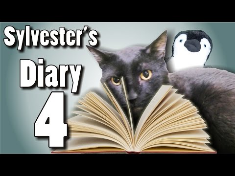 Sylvester's Diary 4 - Burn!