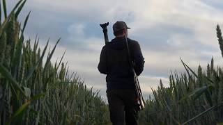 Jagd in der Eifel / Bockjagd