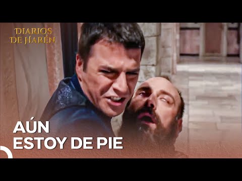 ¡Suleiman Se Desmayó En Brazos De Mustafa! | Diarios De Harén