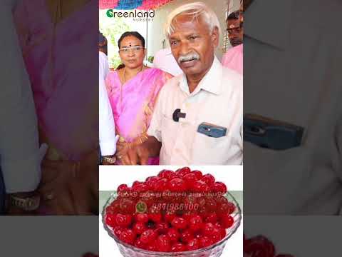😱தெரியுமா? உங்களுக்கு செர்ரி பழம் எப்படி இருக்கும்? | Find The Real Cherry Fruit 🍒🌸
