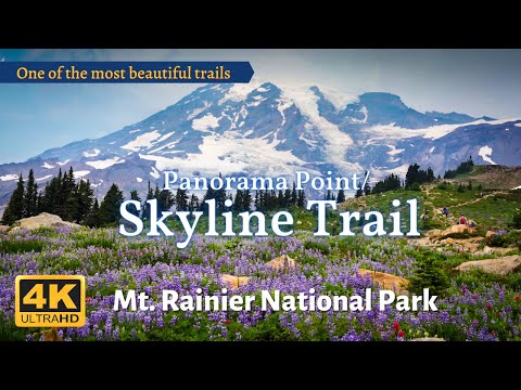 Mt. Rainier National Park | Panorama Point/ Skyline Trail | Wildflowers
