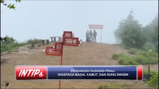 Mendaki Prau Lewat Patak Banteng: Tektok Aman di Negeri Atas Awan - INTIPS
