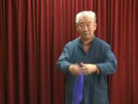 Auto Silk Changer by MIKAME / SEO MAGIC USA